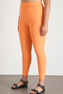 Braided Waist Legging 232