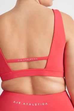 Contour Plunge Sports Bra 342