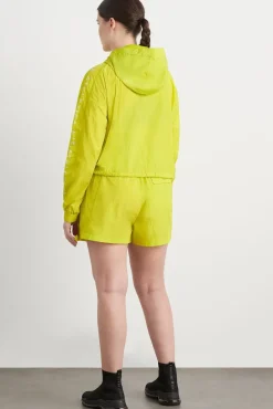 High Waisted Belted Shorts 608