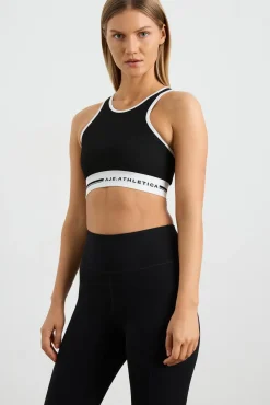 Seamless Crop Top 331